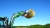 ladowacz-czolowy-t229-chwytak-do-bel-4.webp