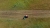 DJI_0811.jpg