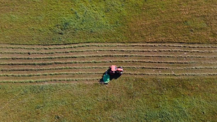 DJI_0811.jpg