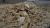 DSC0407-scaled.jpg