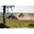 xbt-cut-brona-talerzowa.jpg.pagespeed.ic.D2uLlq2pAC.webp