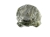 e64ec5d6a6bc92fa55109eb3e0ec7a83.jpg