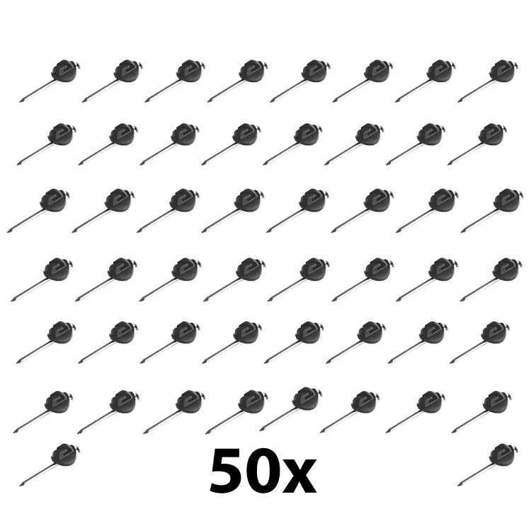 2d31a4cfb45829b385eaa83a3902a0b9.jpg