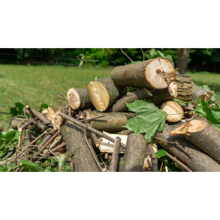 model-rs-100-15-km (10).jpg